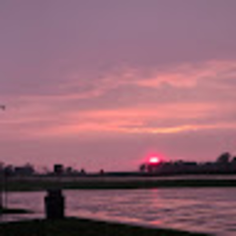 Meet your Posher, Terra